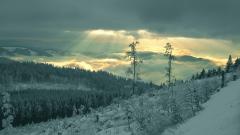 Fond ecran paysage vallee hivernal rangees coniferes sapins brume nuages calme apres orage