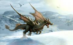 Dragon dans la neige, région perdue image fond ecran 0016