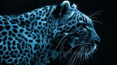 tete de leopard image artistique couleur bleu noir fond ecran