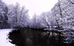 Fond ecran photographie foret etang reflets arbres neige image monochrome violet