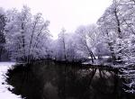 Fond ecran photographie foret etang reflets arbres neige image monochrome violet