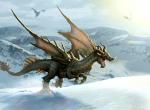 Dragon dans la neige, région perdue image fond ecran 0016