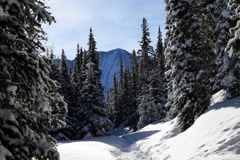Fond ecran paysage montagneux sports hiver descente conifers sapins blancs beau temps