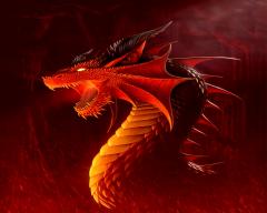 dragon image fond ecran 0003