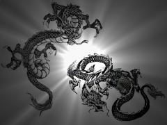 dragon image fond ecran 0042