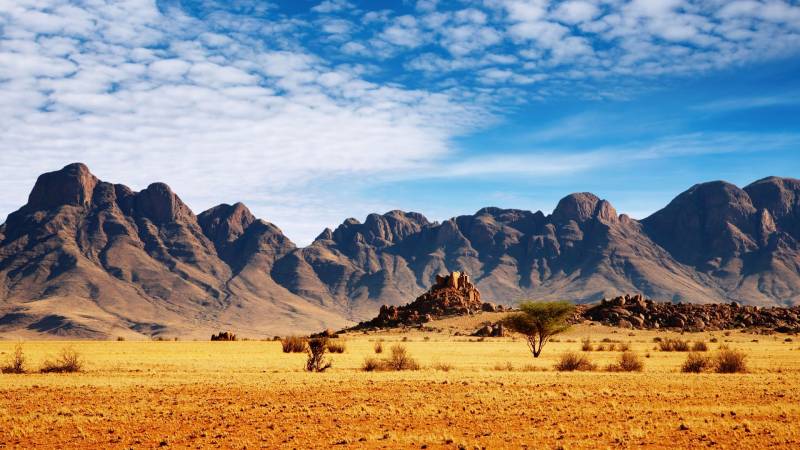 nature zone desertique montagne aride au fond petits arbustes premier plan