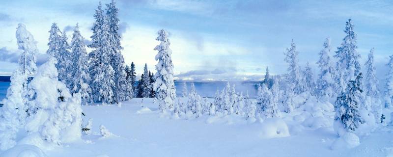 Panorama sapins tout blancs lac au fond paysage enneige 2560x1024