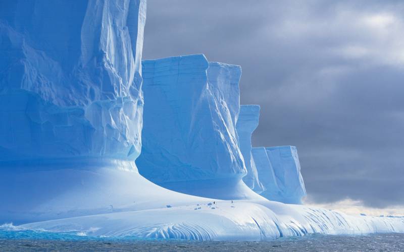 Enormes falaises de glace pingouins en contrebas