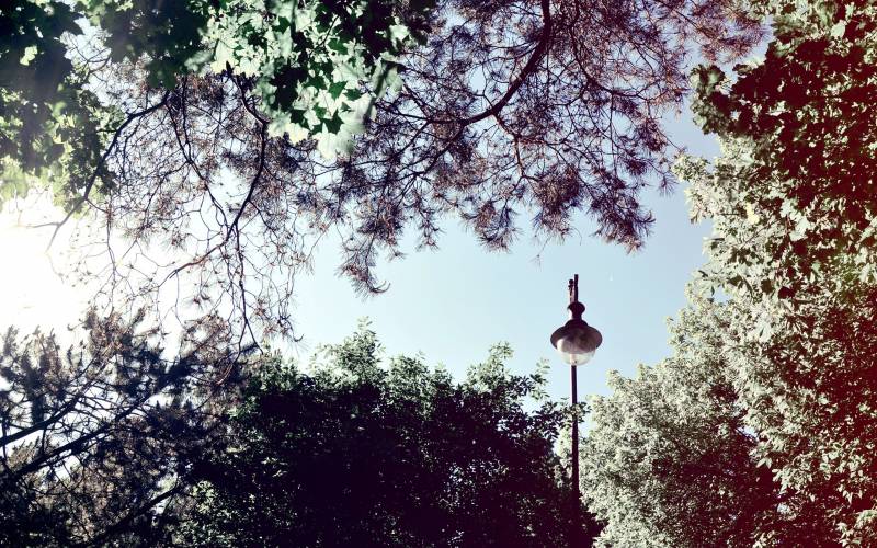 Lampadaire fond ecran lampadaire au milieu arbres feuillus printemps temps ensoleille