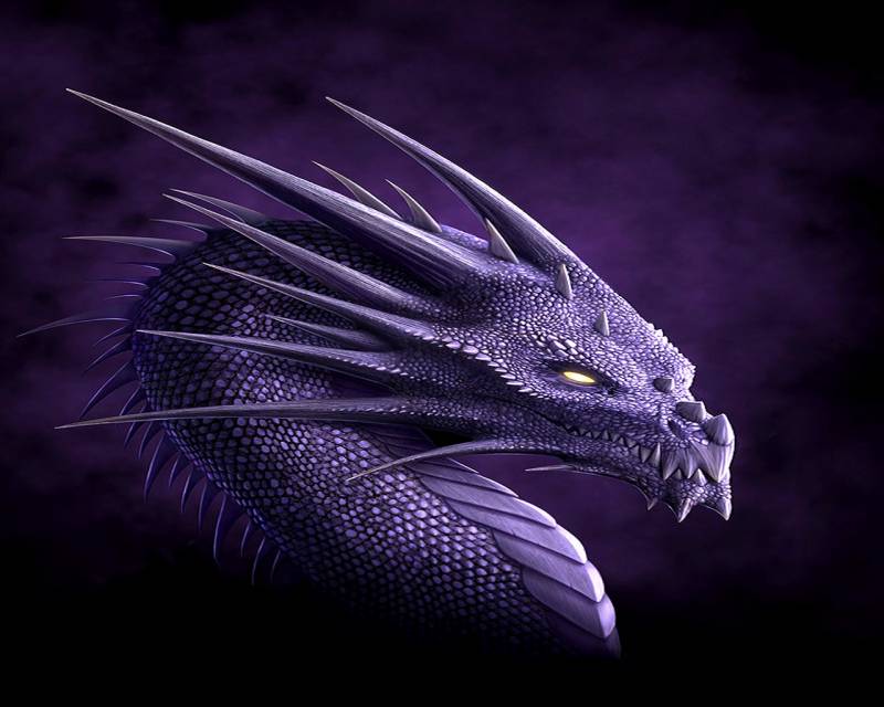 Tête de dragon, avec des pics impressionants, image fond ecran tons violets