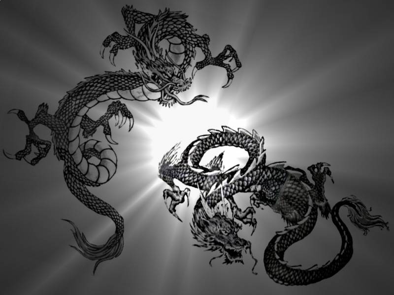 dragon image fond ecran 0042