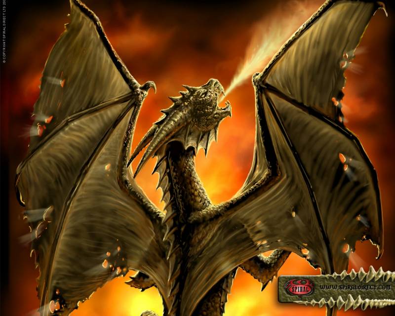 dragon image fond ecran 0066